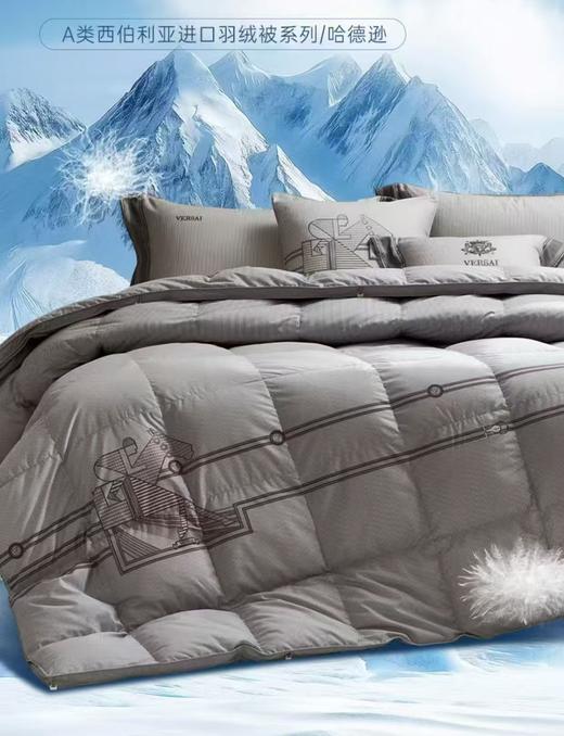 【富安娜】B座7FA类西伯利亚进口羽绒被系列/哈德逊（送2000元线下无门槛券！） 商品图0