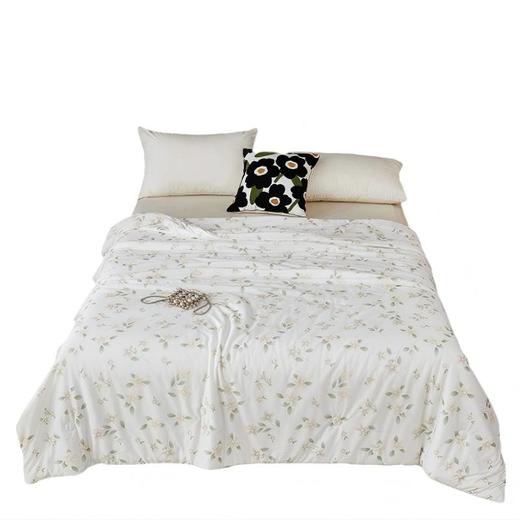 彼加曼 超感零压-云柔糯糯被 200*230cm BGM-B2513 商品图1