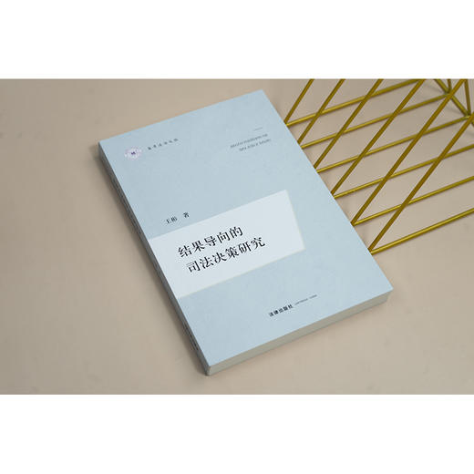 结果导向的司法决策研究 王彬著 法律出版社 商品图2