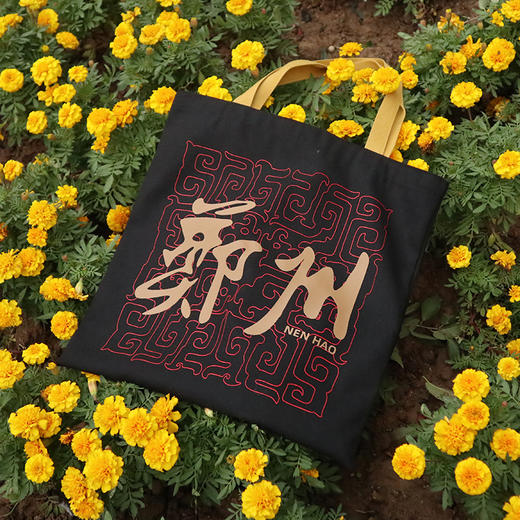 【地铁礼物】郑州地铁文创帆布包/郑州&中字插画帆布包 商品图2