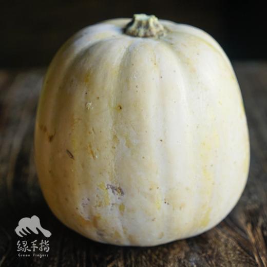 生态拉飞南瓜 | 合作生产*Eco-pumpkin | Coproduction 商品图3