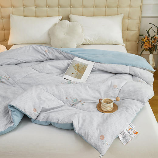 彼加曼 蓄能恒温暖芯羽丝被200*230cm BGM-B2551 商品图2