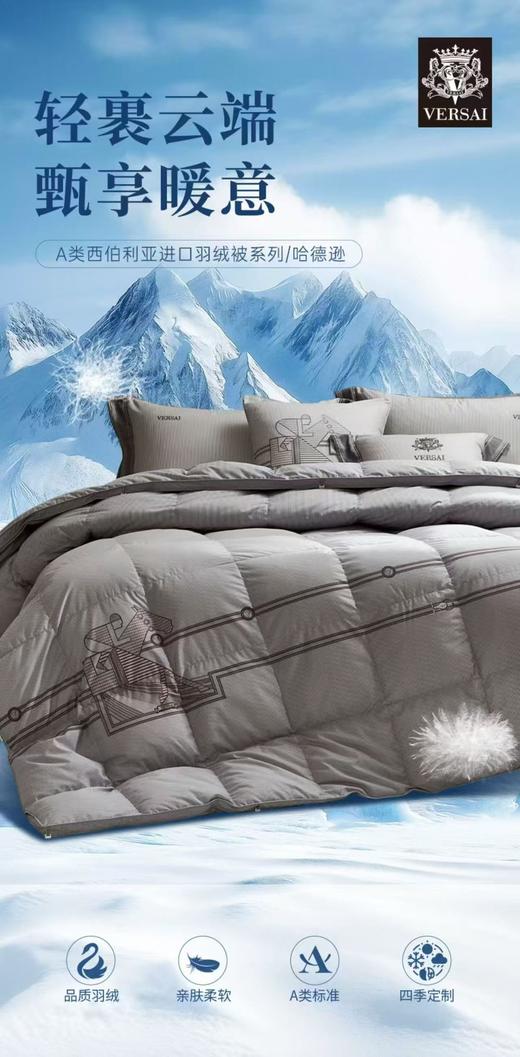 【富安娜】B座7FA类西伯利亚进口羽绒被系列/哈德逊（送2000元线下无门槛券！） 商品图1