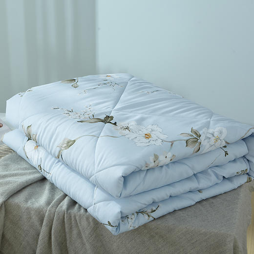 梦洁 舒柔夏被兰馨 1010289017 商品图3