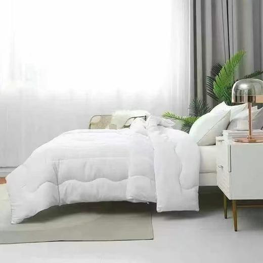 G551内野嫚妮抗菌被 春秋被 商品图2