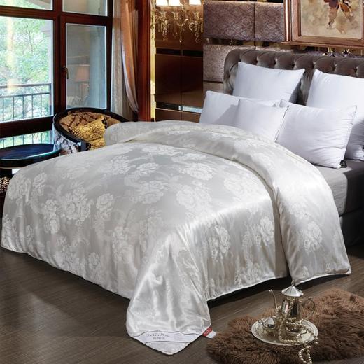 彼加曼 御贡尚品蚕丝被200*230cm BGM-B2029 商品图0