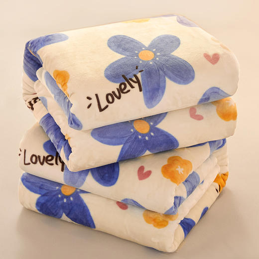 俞兆林 法莱绒印花毛毯1.5米梦幻花田 YZL-24090 商品图2