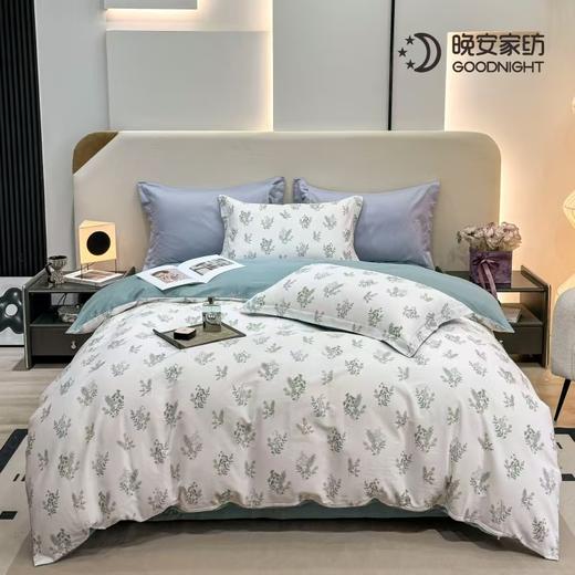 晚安家纺 纯棉床单四件套 绮罗幽梦200*230cm WA008 商品图0