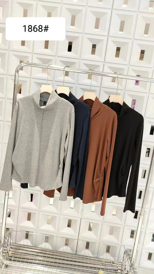 水淼2025冬新款高领宽松密包搞高弹休闲小衫1868 商品图6