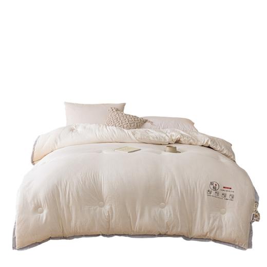 PLOVER啄木鸟 泡泡纱豆豆被200*230cm/2.9KG ZMN-DB006 商品图0