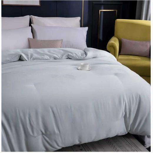 彼加曼 莫代尔竹纤维蚕丝被夏被200*230cm BGM-B9215 商品图3