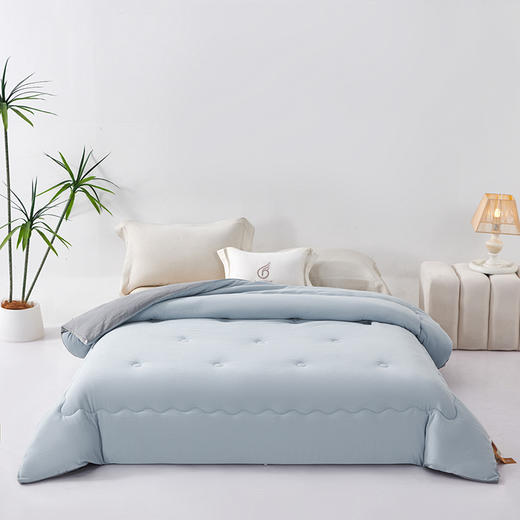 GRACE SPACE格调空间 羊毛蛋白纤维厚被 保暖秋冬羊毛被子 商品图5