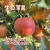 立君生态苹果/满满苹果（基地直发-顺丰包邮） | 4.3±0.2斤，来自山东烟台，生产者：李立君【合作生产，公平贸易】 商品缩略图0
