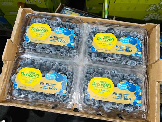 超大！更脆！Driscolls'小钻石蓝莓，22cm+，ji品！尊贵彰显气质款，每一颗都带着淡淡兰花清香！ 商品图7