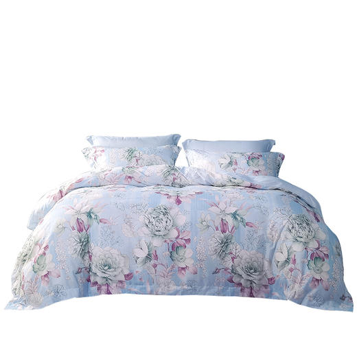 富安娜 床单四件套/晴云秋月/标准/蓝203*229cm 6916517673023 商品图0