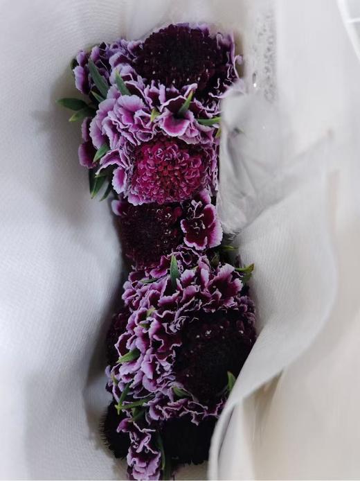 精选花材松虫草10支 商品图5