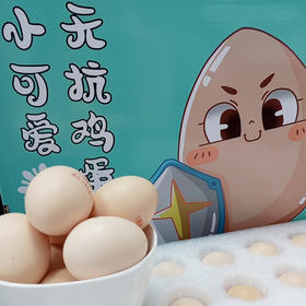 【自营】小可爱无抗鸡蛋 30枚装 礼盒装 YT