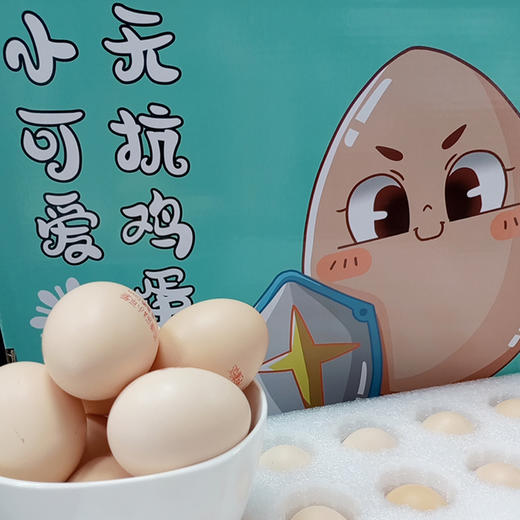 【自营】小可爱无抗鸡蛋 30枚装 礼盒装 YT 商品图0