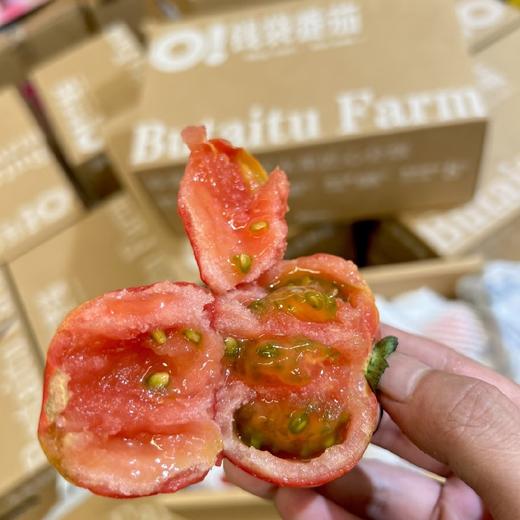 钱袋番茄（一箱3.5斤） 商品图2