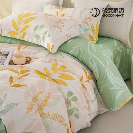 晚安家纺 秋日暖绒四件套轻花叶舞200*230cm WA002 商品图4