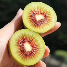 💋 红颜小猕•秋日甜王上线！ ——秋日甜进嘴里，味蕾直接锁死！果芯红得像小太阳 咬破果皮那秒：每口都是「嘴里爆甜」的惊喜！