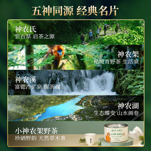 正山堂巴东红 湖北神农溪矿泉水泡茶用 矿泉水天然矿泉水神农溪水 商品图3