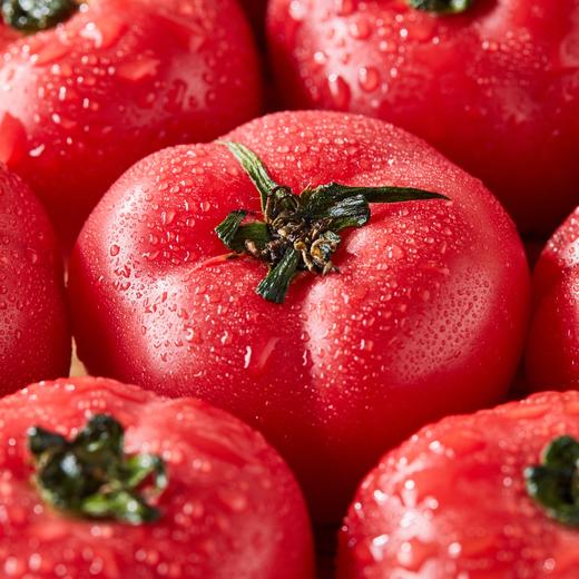 玫瑰番茄|自带花香味，果肉沙软，沙瓤多籽，口口爆浆似果冻！ 商品图0