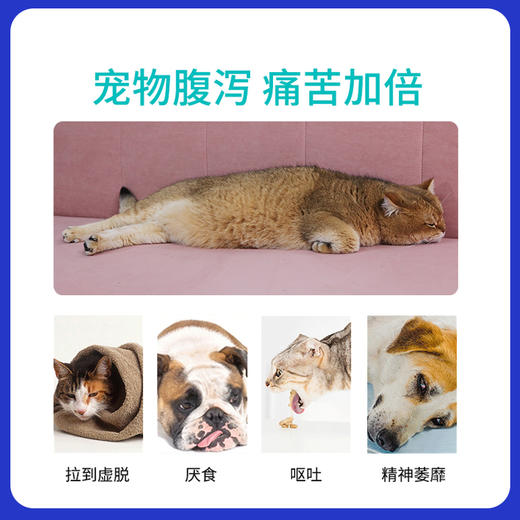 BOOLING保灵保必亭碱式碳酸铋止泻肠胃炎腹泻猫狗拉血肚子软便 商品图1