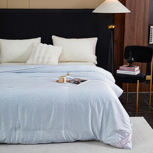 彼加曼 维罗纳银丝提花蚕丝被200*230cm BGM-B2561 商品图2