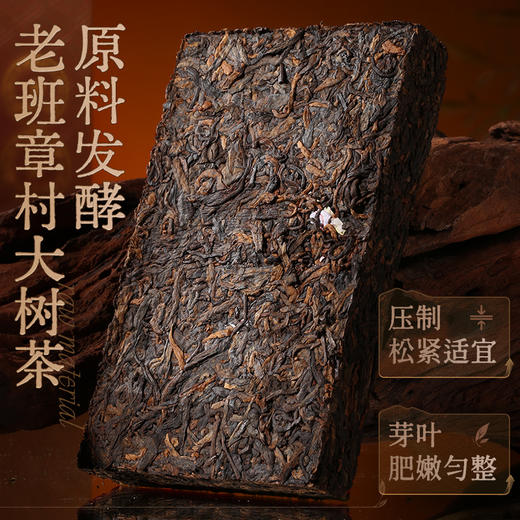 陈升号 2025年陈升老班章熟茶200g 商品图2