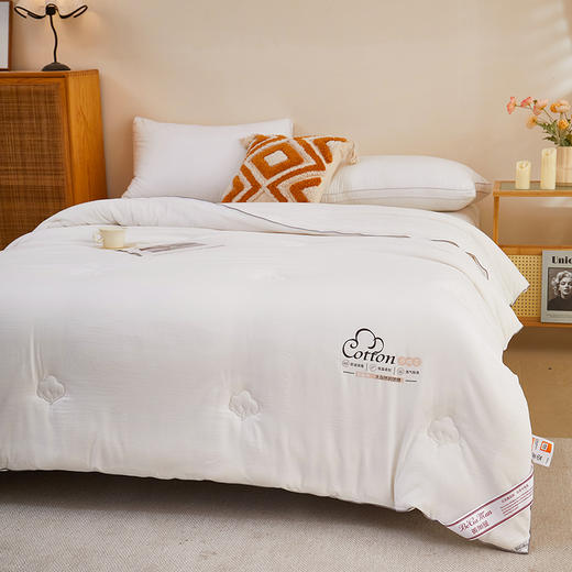 彼加曼 小豆棉云柔棉花被200*230cm BGM-BX247 商品图4