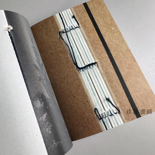 De Best Verzorgde Boeken 2020 / The Best Dutch Book Designs 2020 / 2020年荷兰最佳书籍设计 商品图3