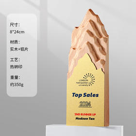 水晶奖杯定制定做创意高档大气优秀员工奖牌公司年会2025新款冠军