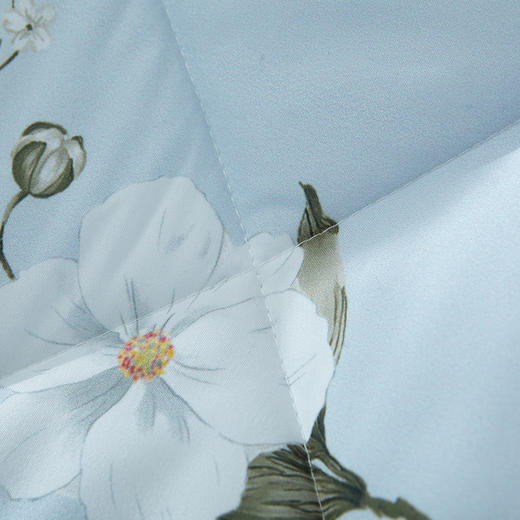 梦洁 舒柔夏被兰馨 1010289017 商品图2