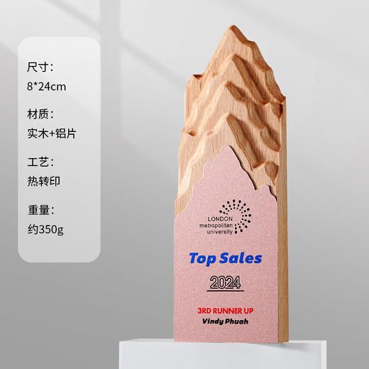 水晶奖杯定制定做创意高档大气优秀员工奖牌公司年会2025新款冠军 商品图2