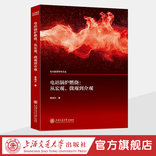 电站锅炉燃烧：从宏观、微观到介观   交大能源学术文丛 商品图0