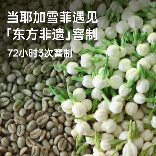 明谦云境茉莉咖啡豆耶加雪菲中浅烘焙阿拉比卡意式拿铁咖啡磨粉 商品图1