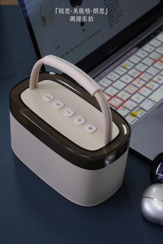 入驻山姆苹果专柜品牌！锐思·美能格·朗思【充电宝·数据线·耳机·音响合集】品牌出海前50强 远高于国家生产标准！—WD 商品图1