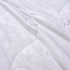 富安娜 沁雅蚕丝被203*229cm QYCSB 商品缩略图3