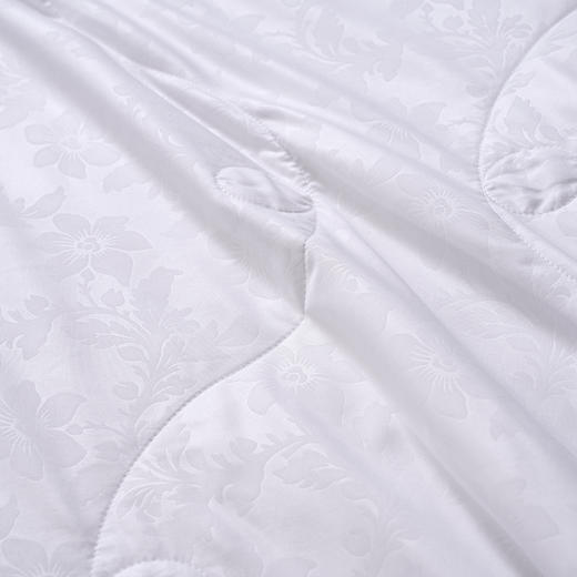 富安娜 沁雅蚕丝被203*229cm QYCSB 商品图3