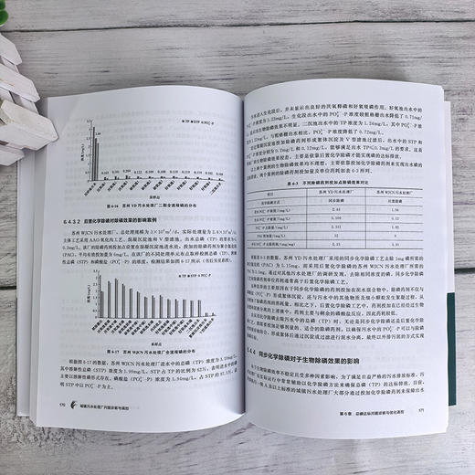 城镇污水处理厂问题诊断与调控 商品图5