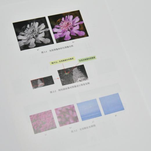 计算机视觉实践教程 基于PyTorch 深度学习PyTorch机器学习自然语言处理视觉语言模型 商品图1