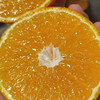 【秒拍尝鲜爱媛果冻橙到店】！汁多的溢出来！纯甜，一丢丢酸。薄！美！无核 ，请叫我橙子君！果皮薄透，多汁 商品缩略图5