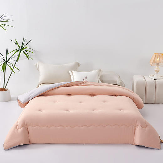 GRACE SPACE格调空间 羊毛蛋白纤维厚被 保暖秋冬羊毛被子 商品图0