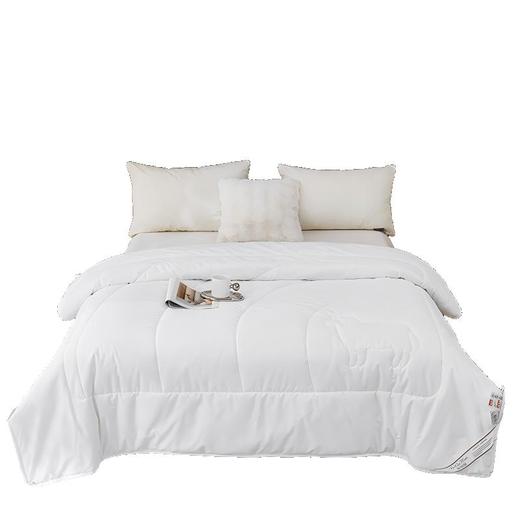 彼加曼 新西兰绒尊羊毛被200*230cm BGM-B2558 商品图0