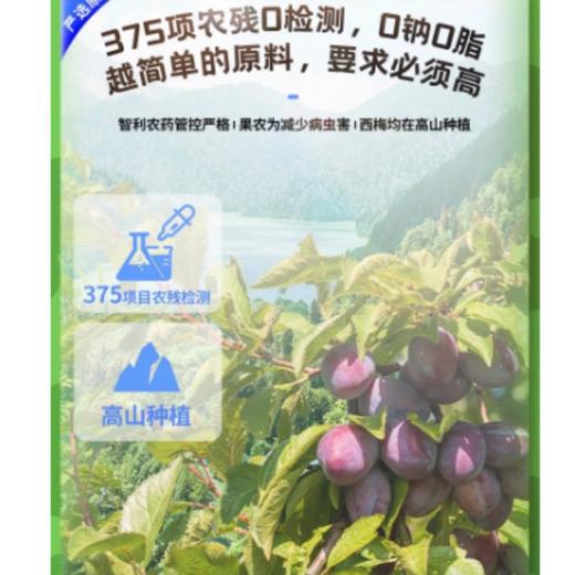 未零汪汪队立大功高膳食纤维无核西梅干50g 商品图3