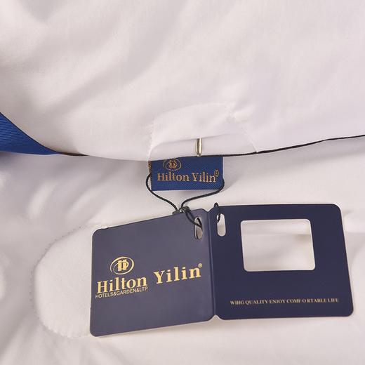 希尔顿酒店棉被蚕丝棉空调被春秋被加厚冬被被芯民宿礼品被子新款新品 商品图3