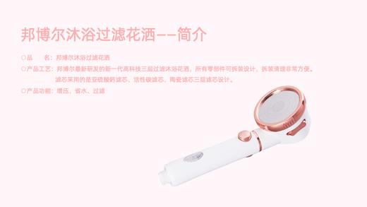 邦博尔三层过滤沐浴花洒升级装 商品图1