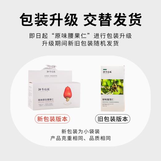 北纬纯净食品|38°越南进口原味腰果雨林原生腰果仁新鲜250g 商品图1