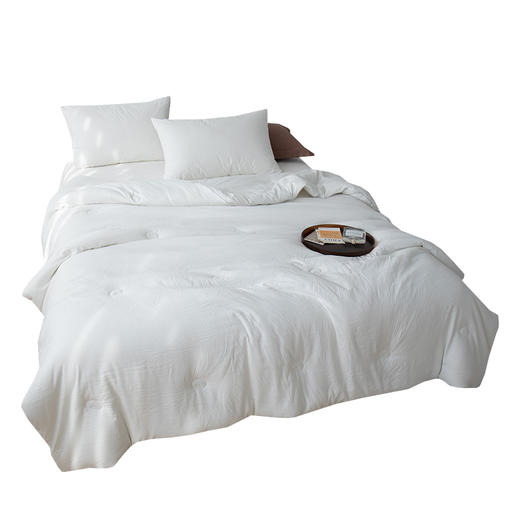 南方生活Southlife 云柔蛋白水洗被 NFWC--08BZ001 商品图4